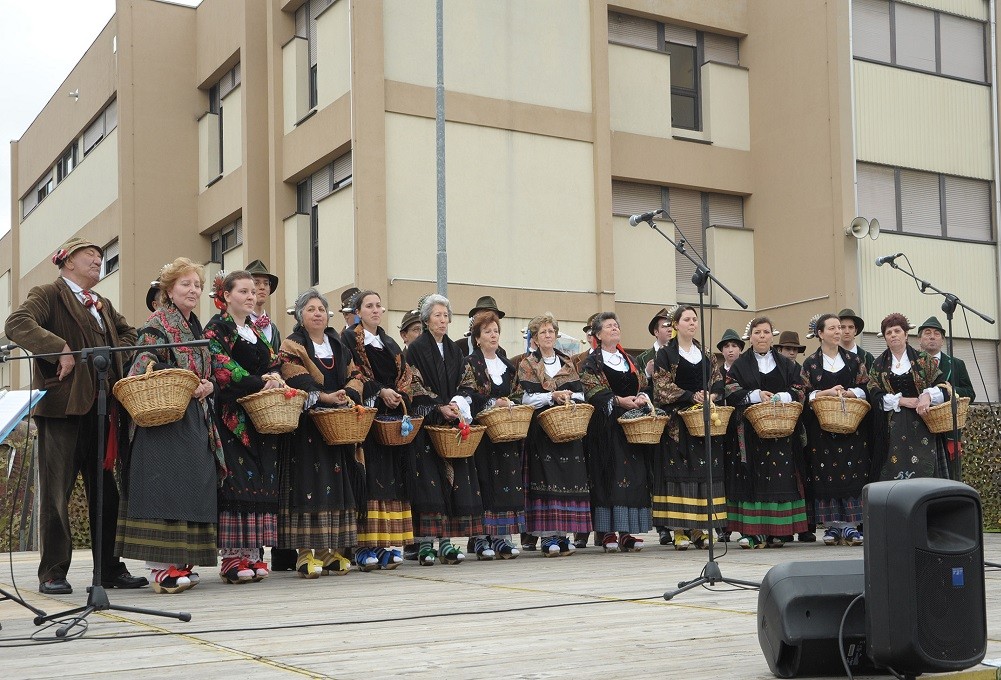 PLAYING FOR LIFE. A CONCERT FOR HAITI